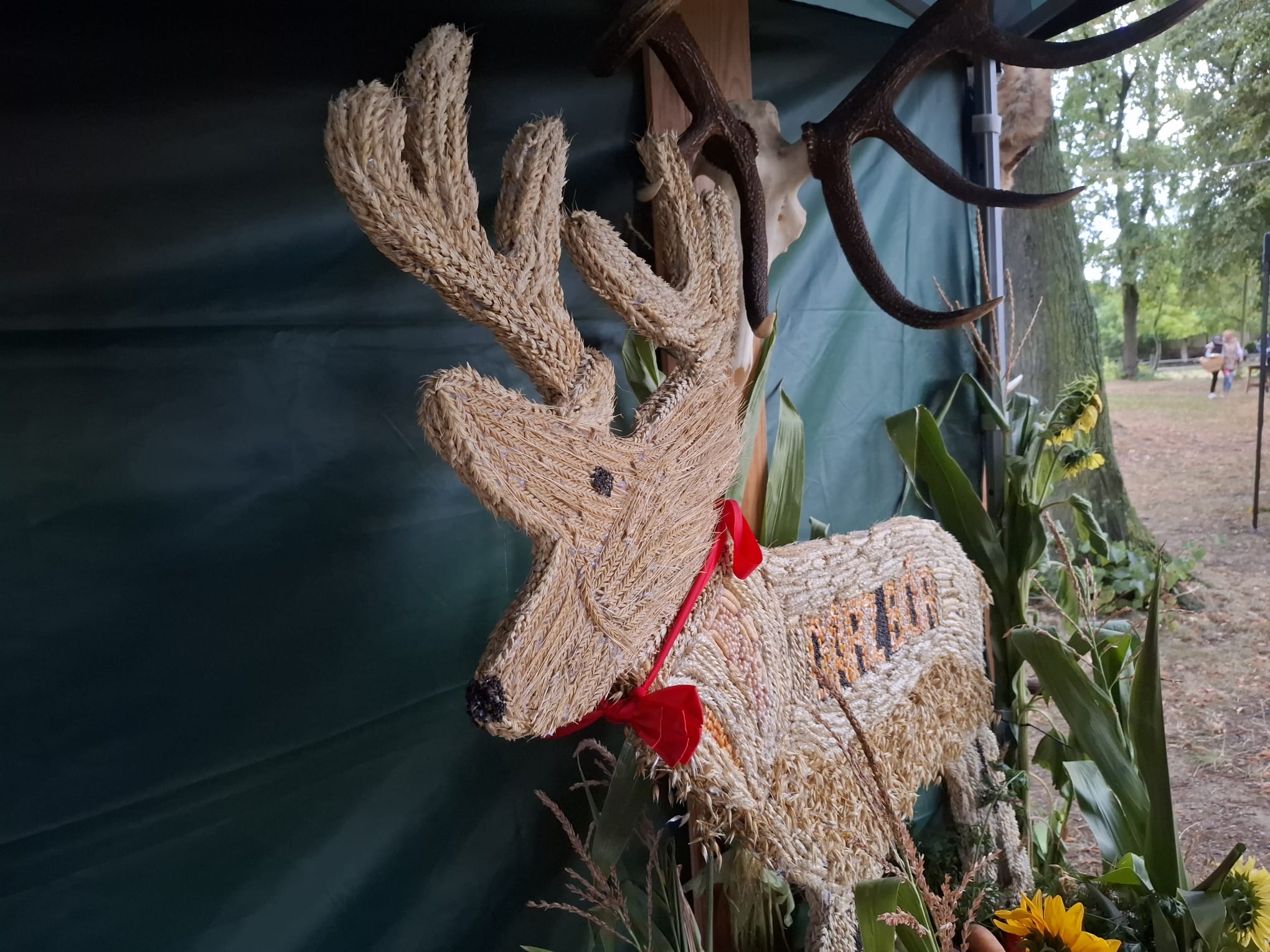 Dożynki gminy Bardo - 24 sierpnia 2025 r.